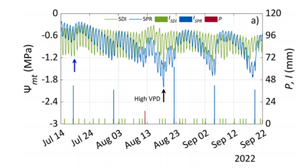 柑橘（橘子）果園的連續(xù)水勢監(jiān)測