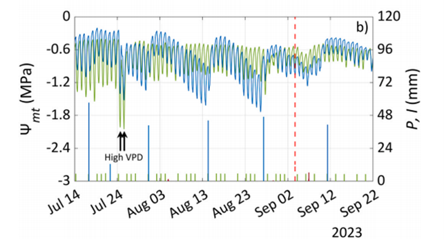 柑橘（橘子）果園的連續(xù)水勢監(jiān)測