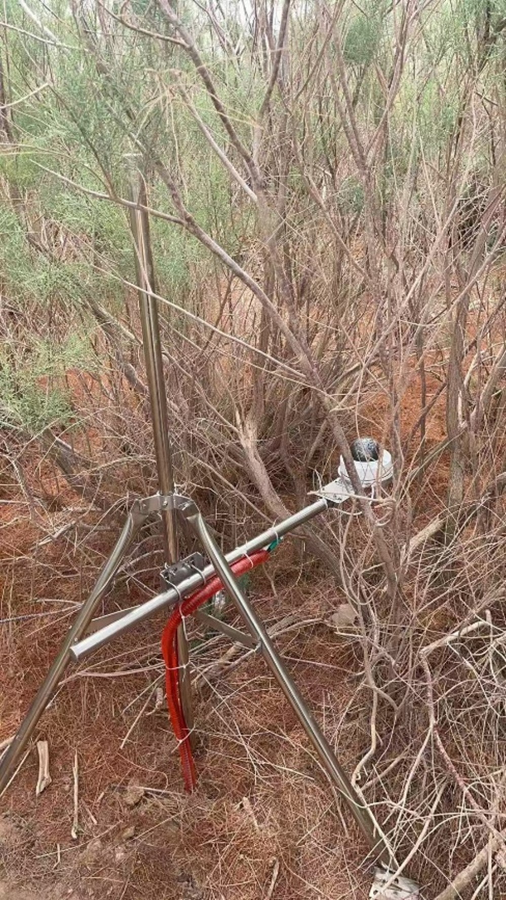 植被冠层分析仪