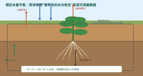 根区水量平衡关系示意图