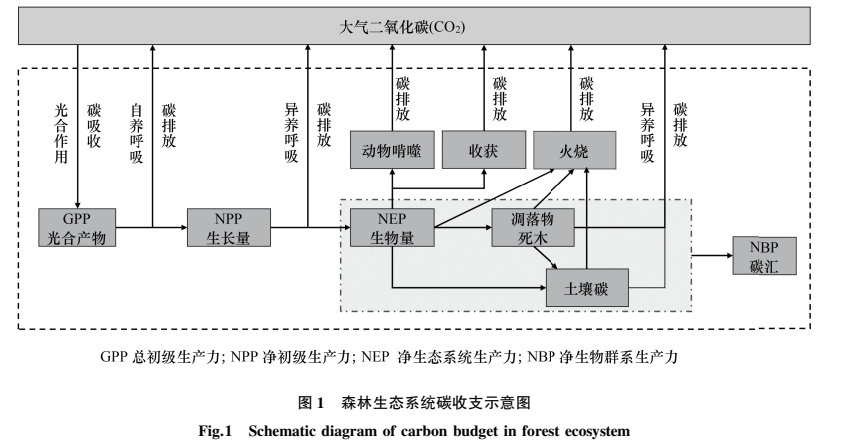 森林碳汇现状 森林碳汇现状