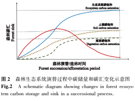 森林生态系统碳汇