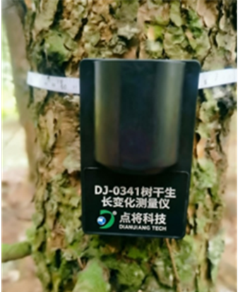 智能测量终端
